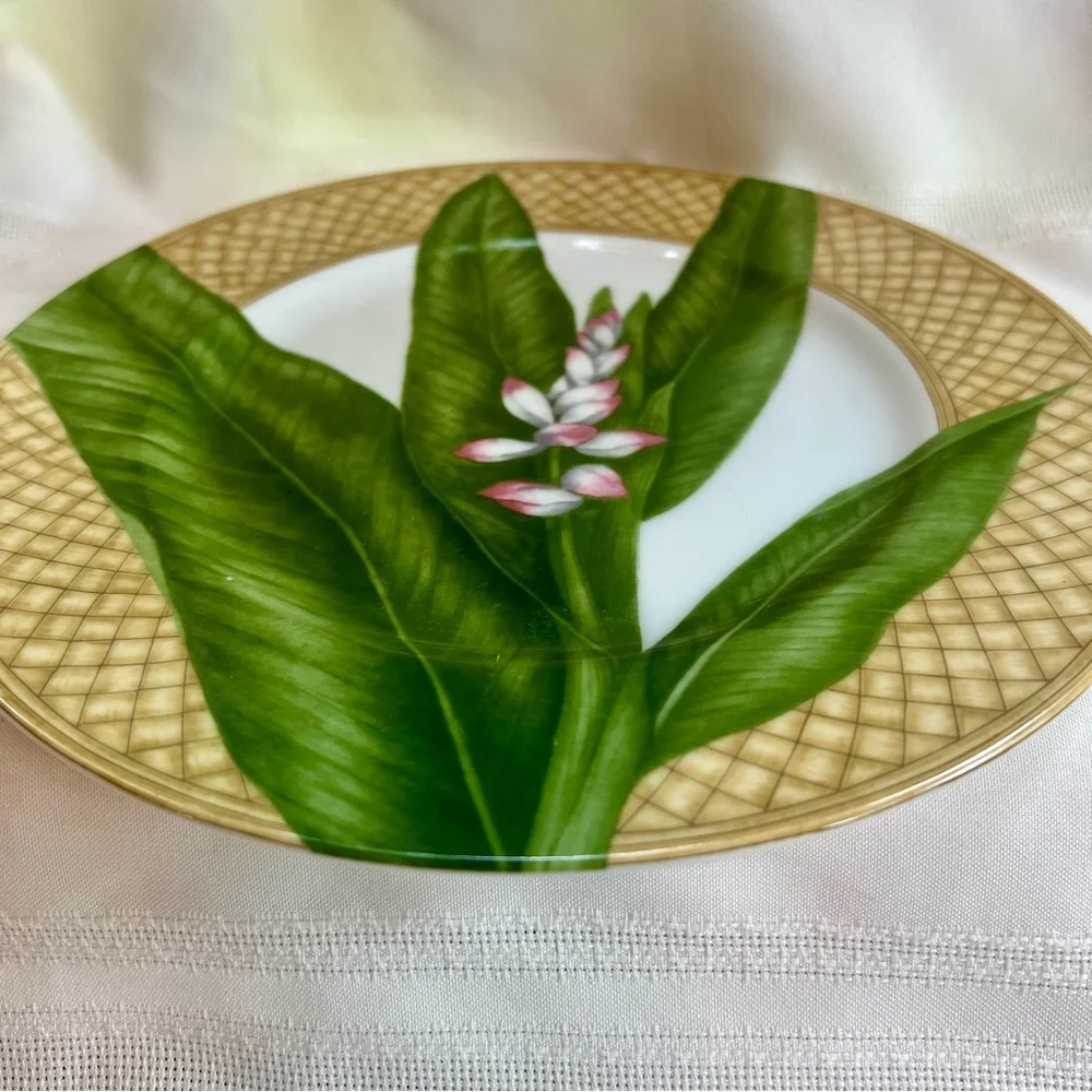 TWO Dinner Plates 222 FIFTH‎ Rain Forest Porcelain Discontinued EUC